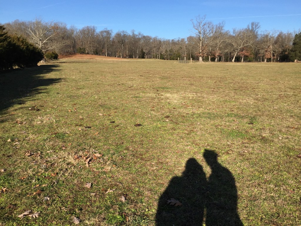 This is Love. .&nbsp;.