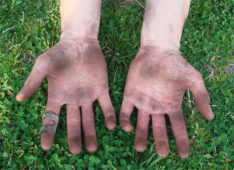 dirty-working-hands-green-grass