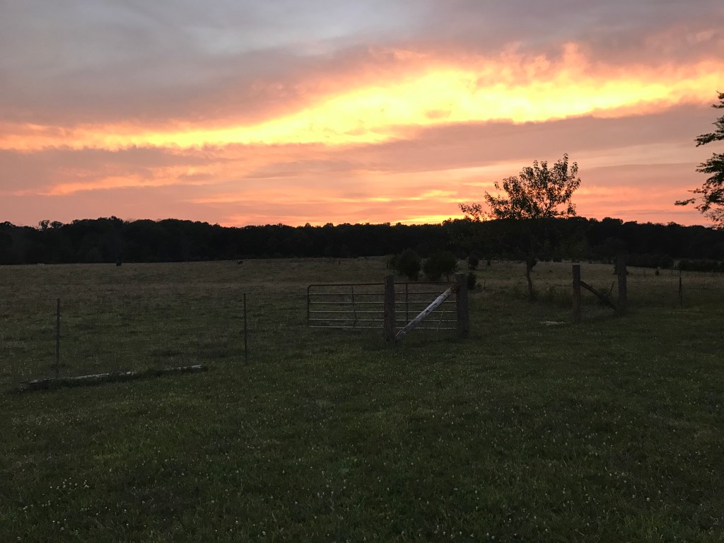 Big Red Barn –Episode&nbsp;1