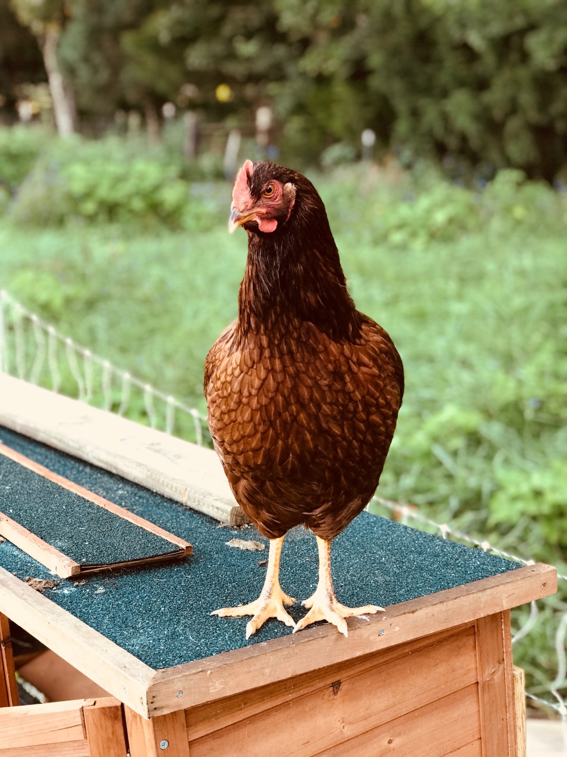 “These Have I&nbsp;Loved”