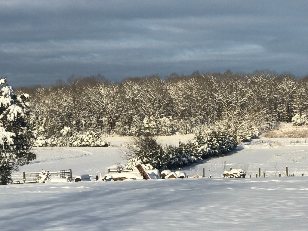 Snowy Farm